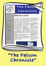 The Falcon Chronicles
