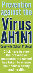 Virus AH1N1